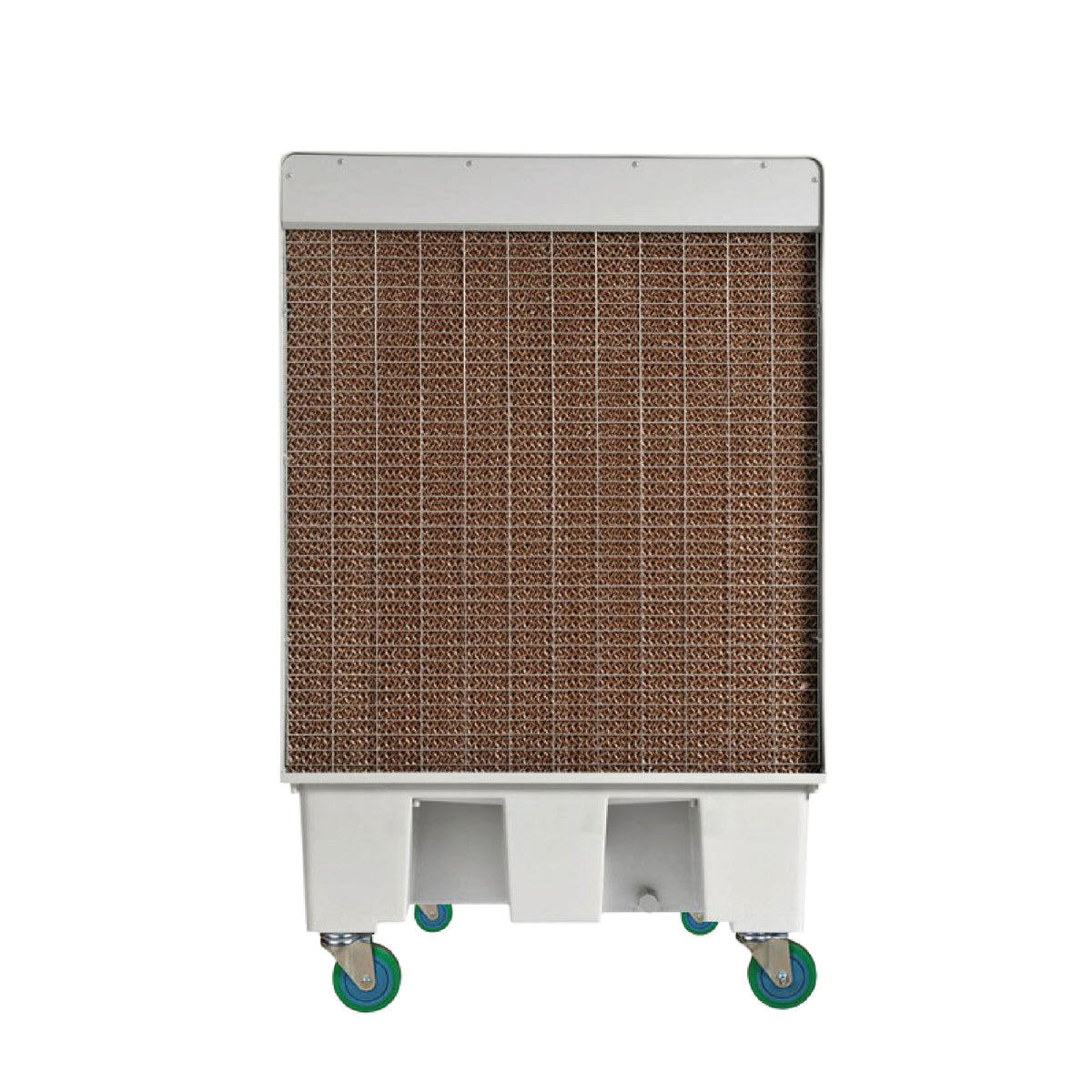 Air Cooler DEBI001B (12000CMH)