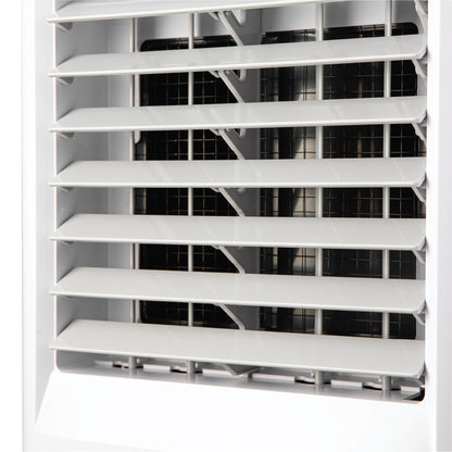 Air Cooler DEBI003A (4000CMH)