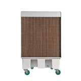 Air Cooler DEBI001B